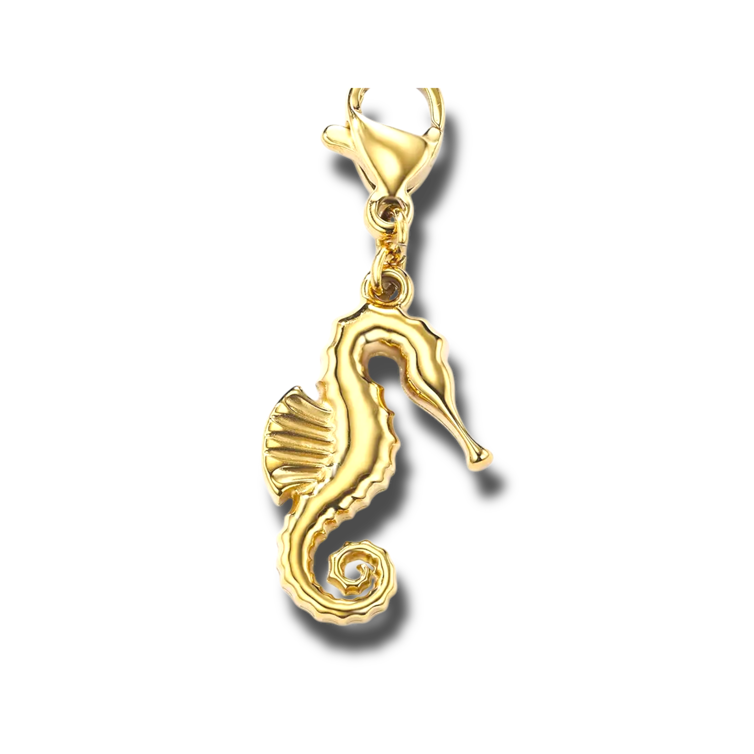Charme hippocampe ￼