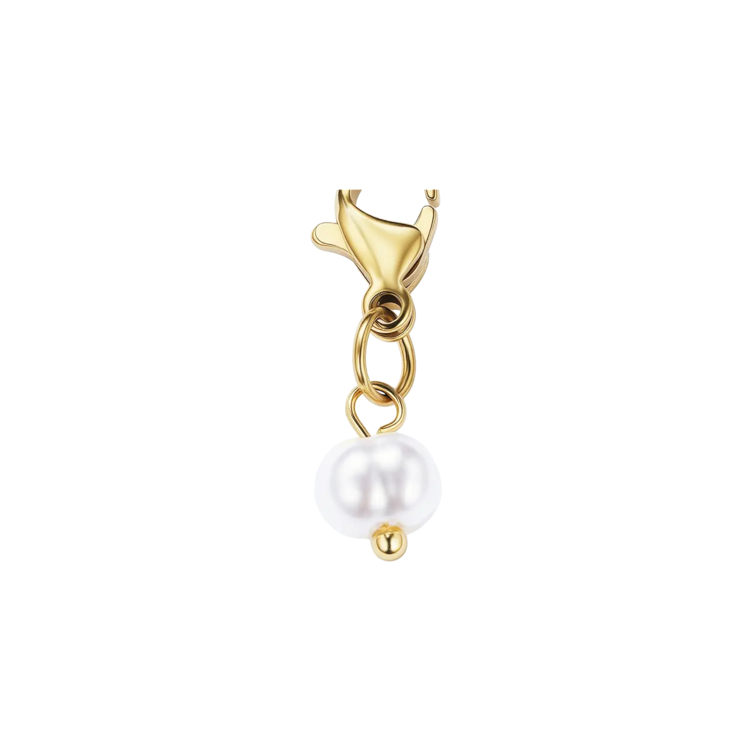 Charme, perle blanche ￼